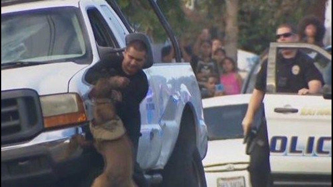 Driver taken down by K9 appears in court | cbs8.com