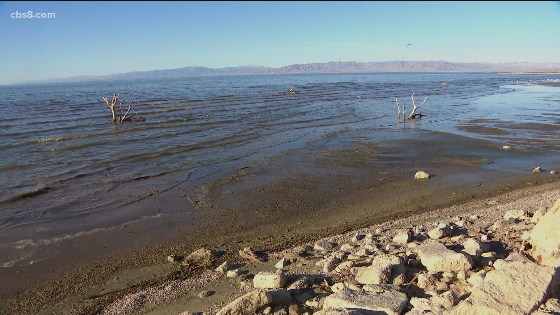 Eight thousand feet below the Salton Sea is a chemical that some call “white gold”.