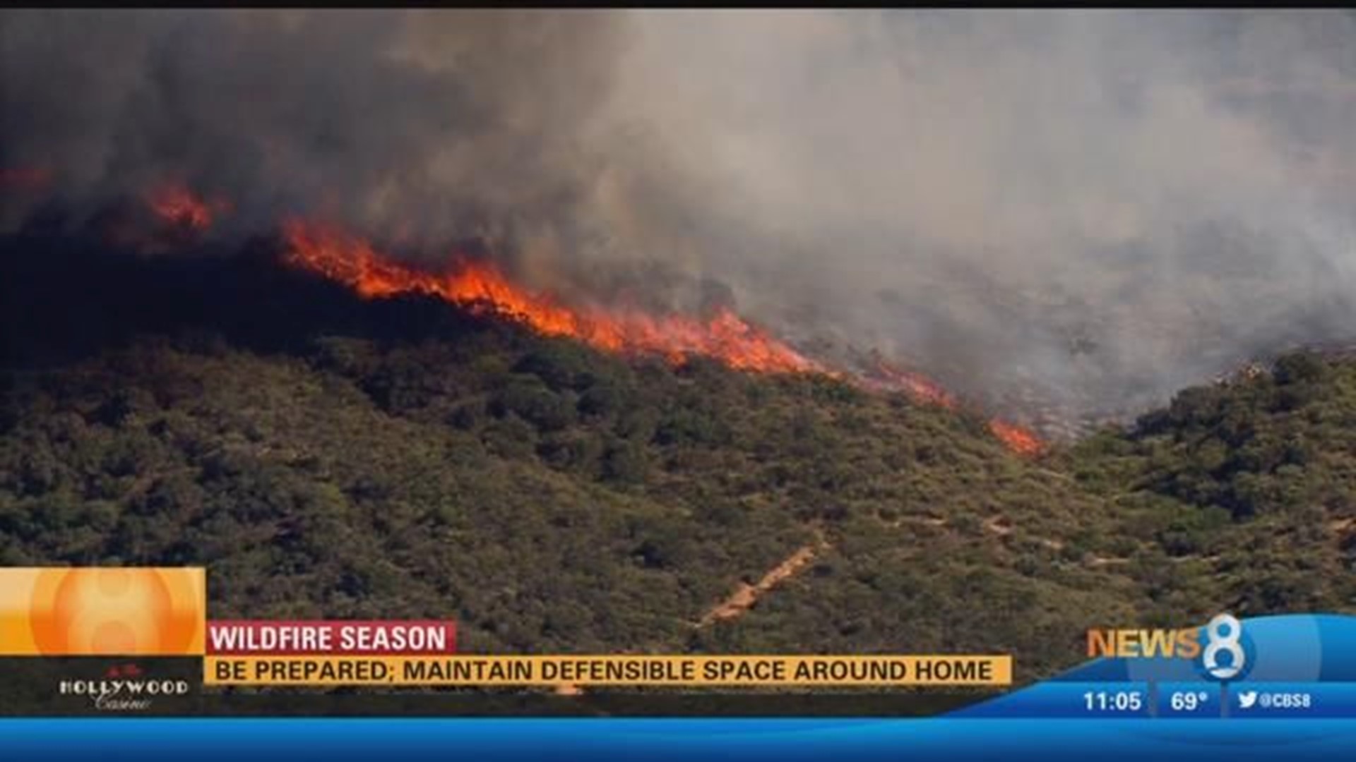 Be prepared for wildfire season, maintain defensible space | cbs8.com