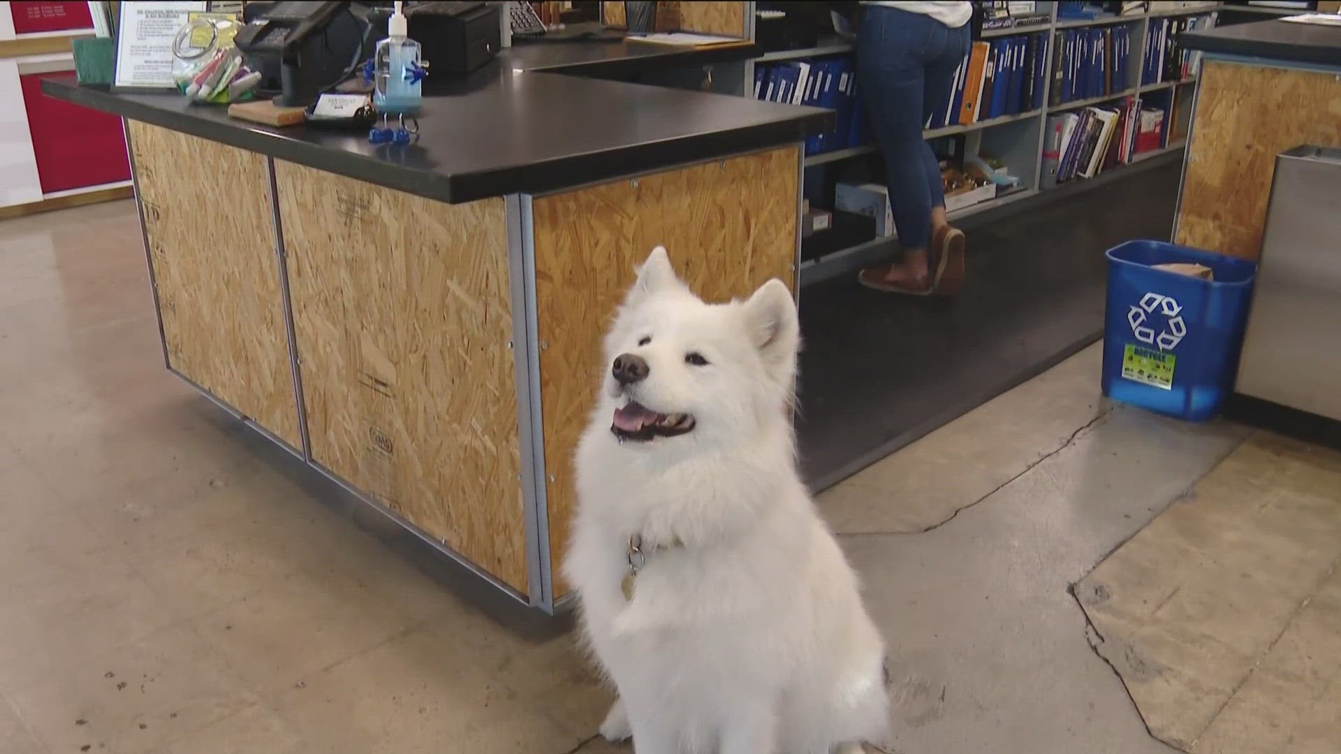 She gets paid in treats and brightens the day of those who come to the 131-year-old store.