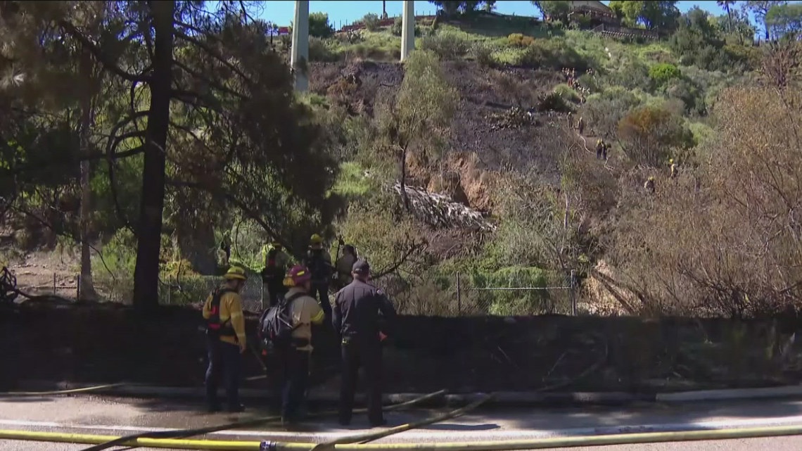 High heat and dry brush can spell fire danger | cbs8.com