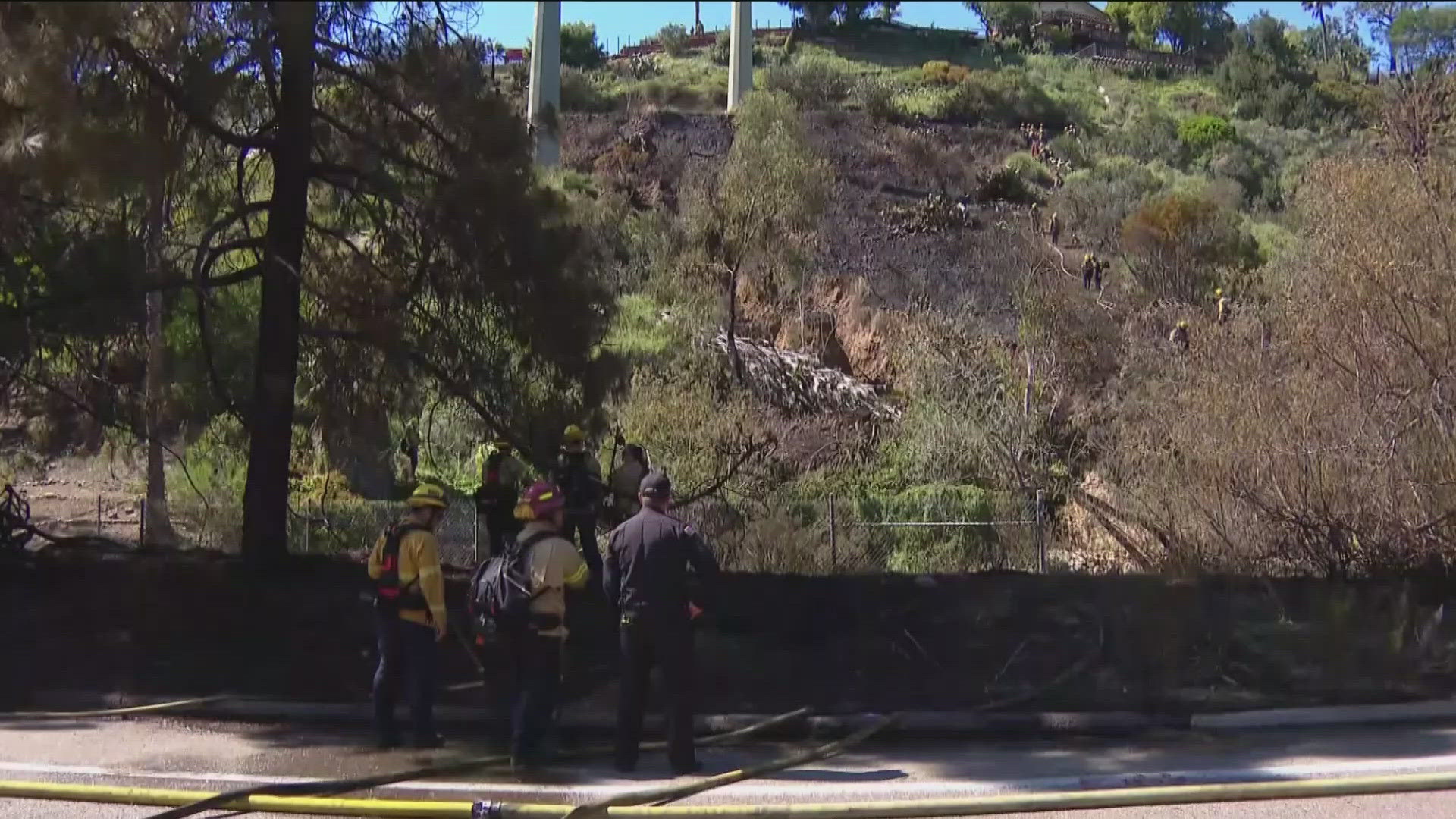 High heat and dry brush can spell fire danger | cbs8.com