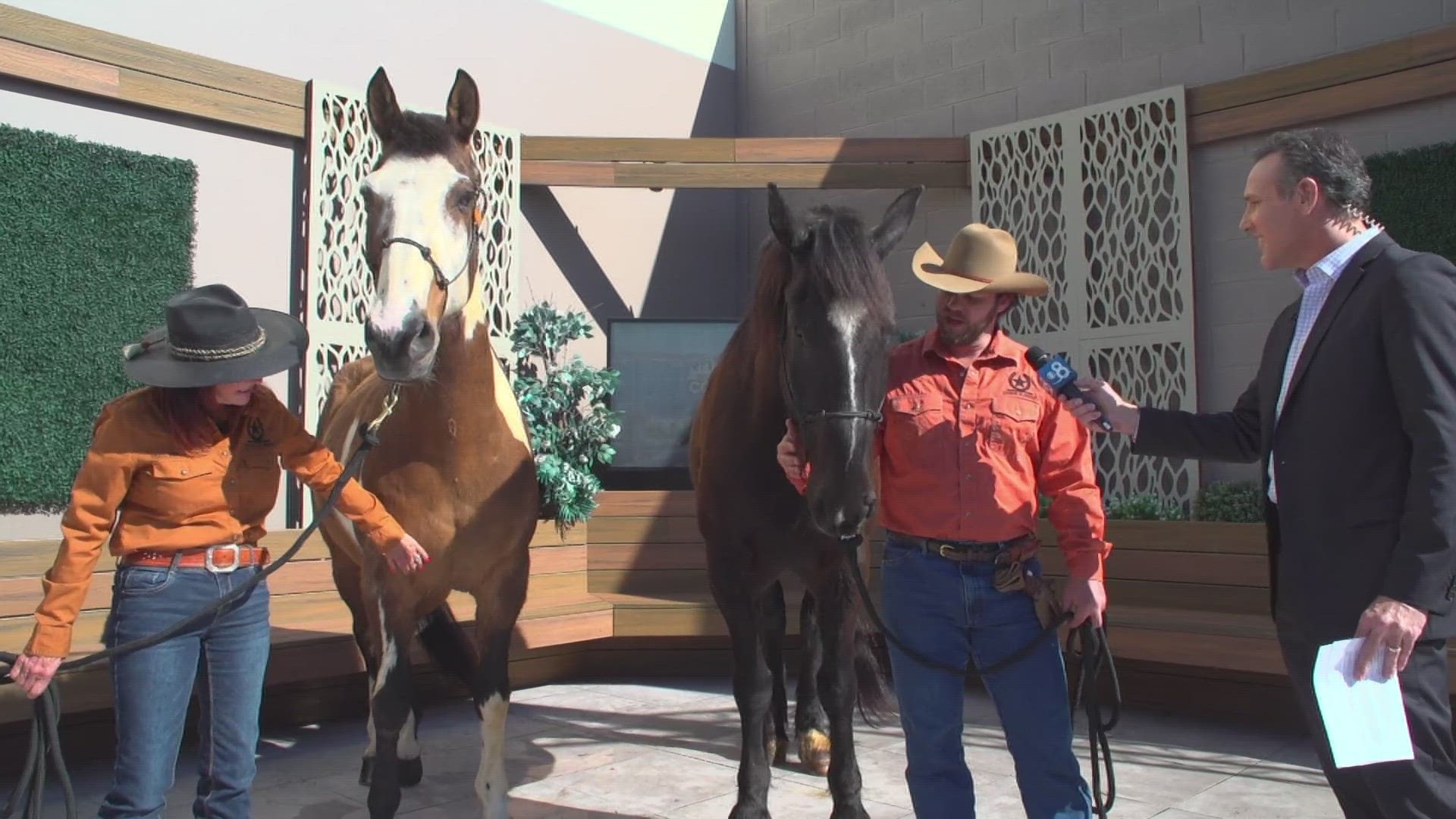 Two retired Border Patrol horses, Hollywood and Apache, joined their human supporters, Tammy, Sandy and Sean to share how they are working for our community.
