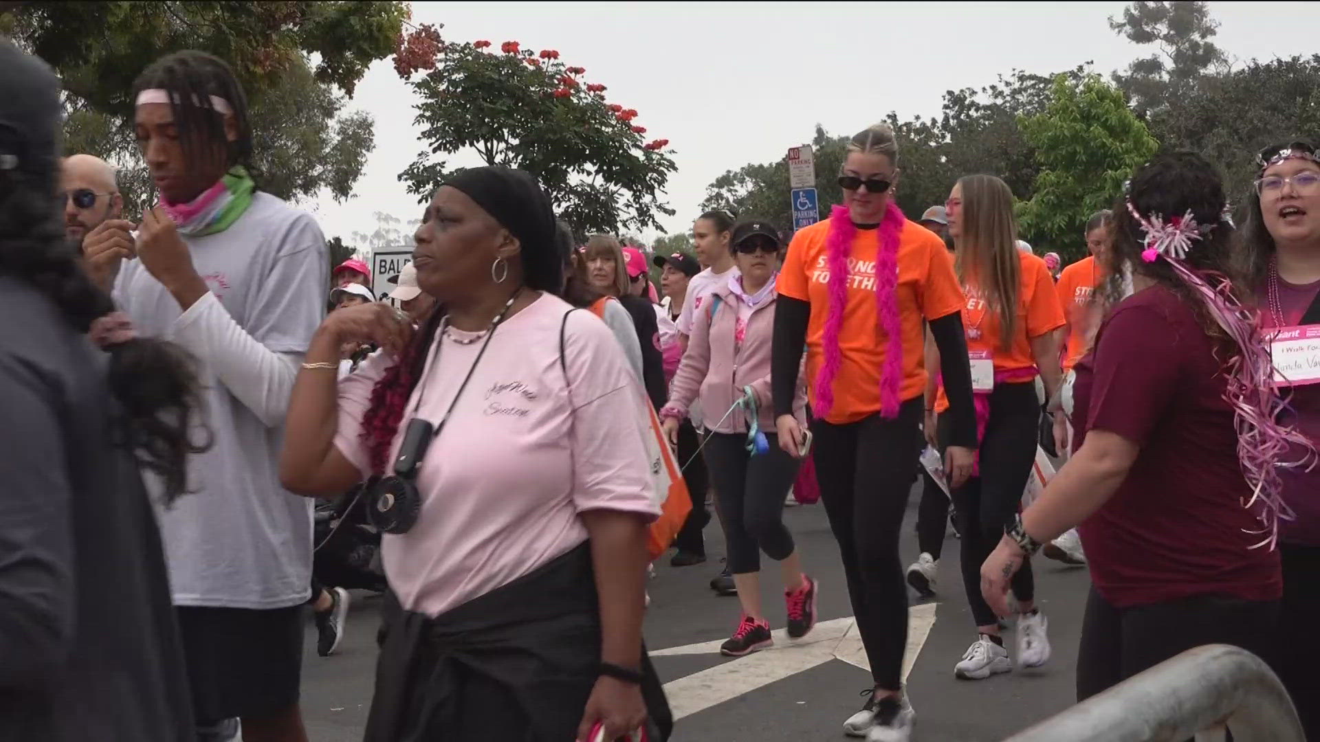 Thousands walk in Susan G. Komen's 'More Than Pink' walk to fight