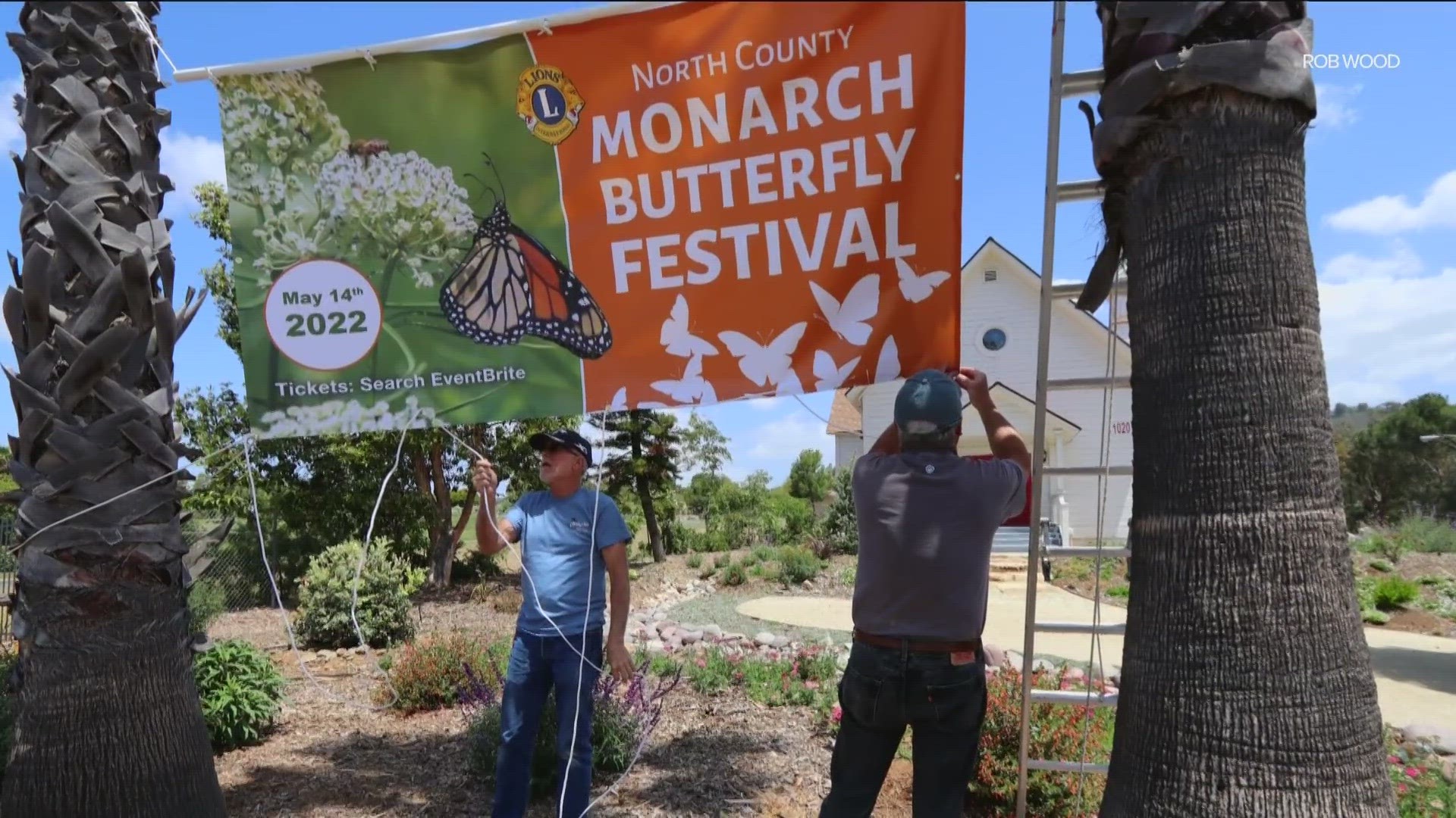 Spring has finally arrived, as well as Monarch butterflies. Now in its second year, residents are holding a Monarch Butterfly Festival in San Marcos this Saturday
