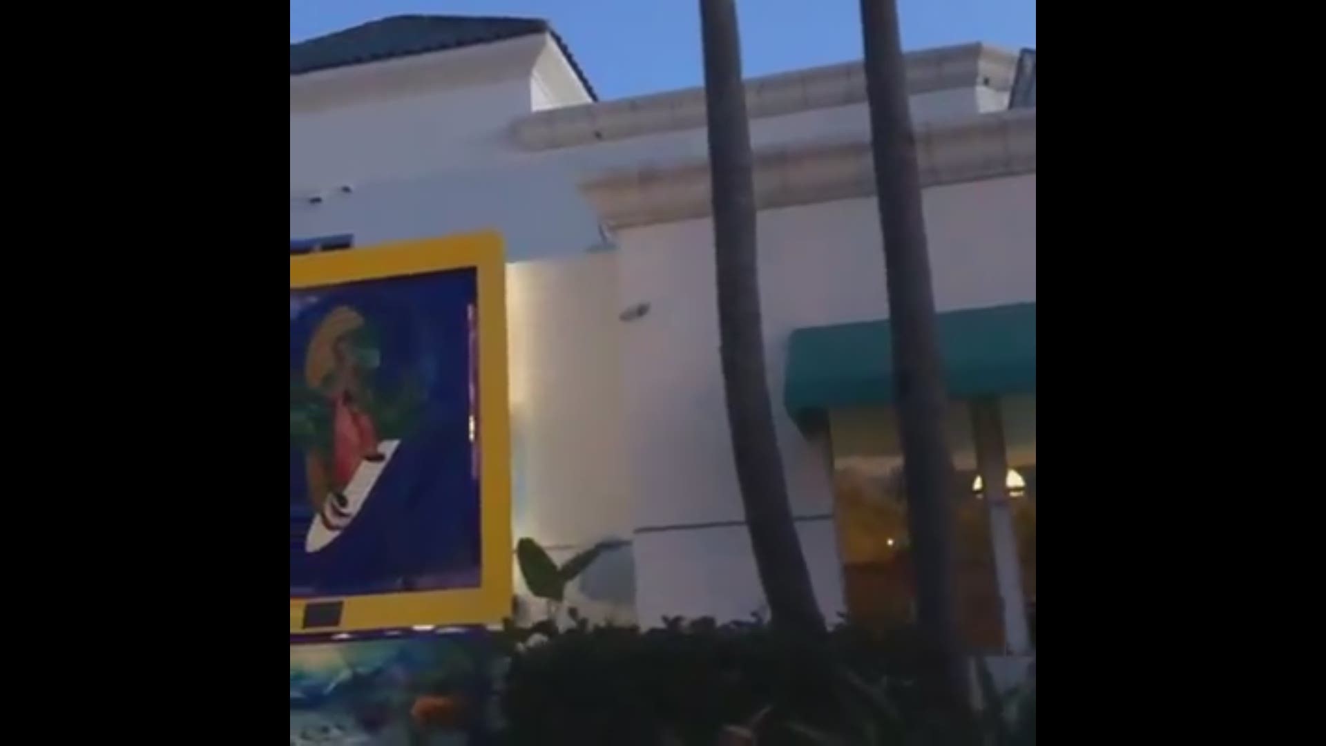 Some slo-mo video passing the Surfing Madonna in Encinitas in San Diego. Video by News 8's Abbie Alford
