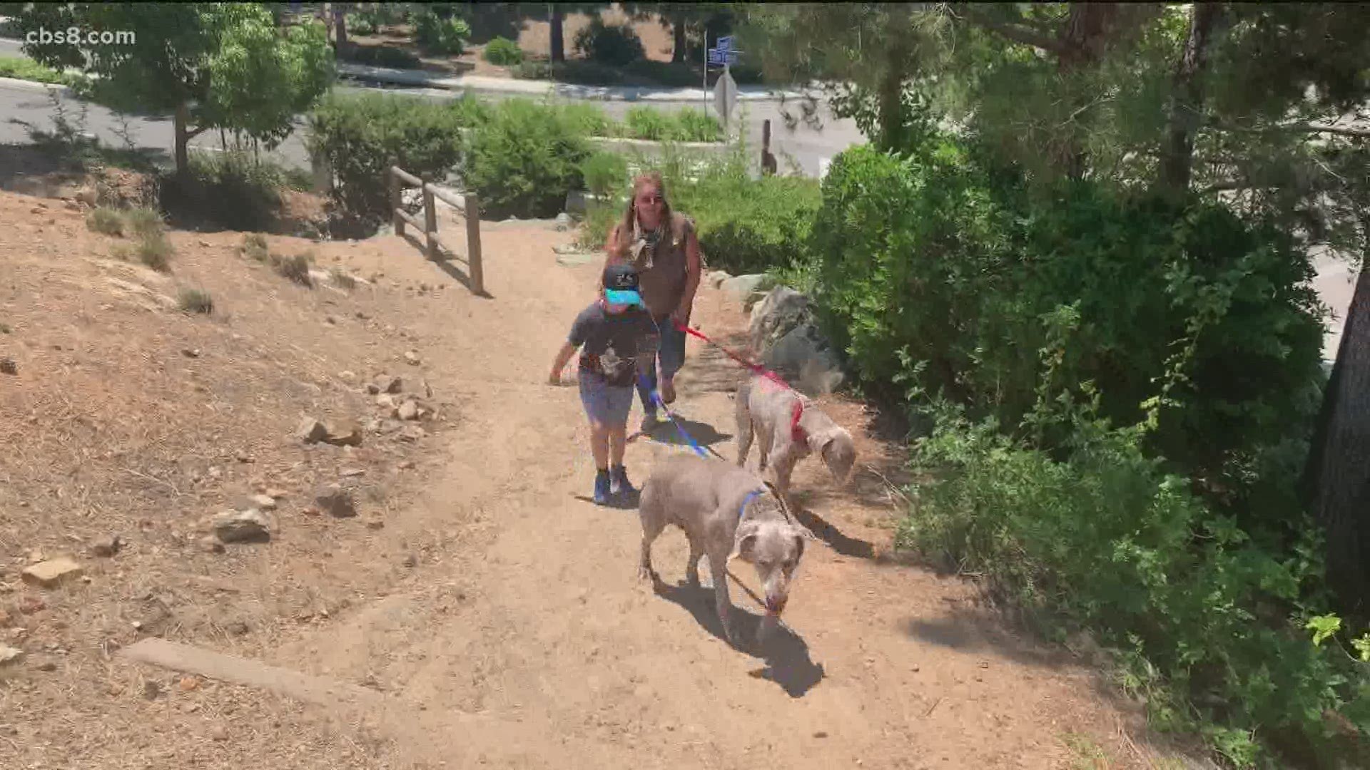 News 8's Marcella Lee talks to a local family about their plea to other pet owners to keep a watchful eyes about rattlesnakes.