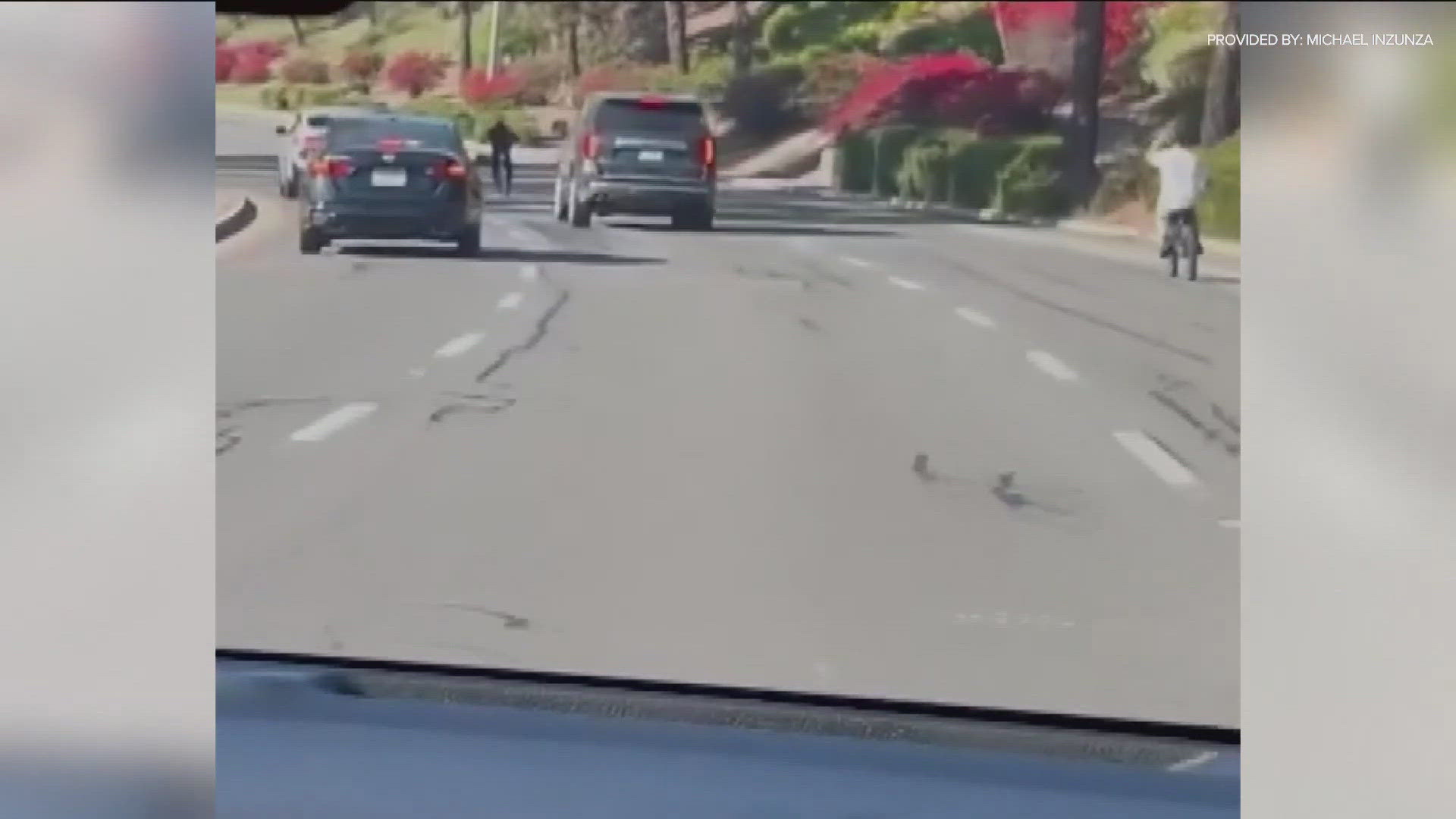 8-year-old boy dies in Chula Vista e-scooter accident | cbs8.com