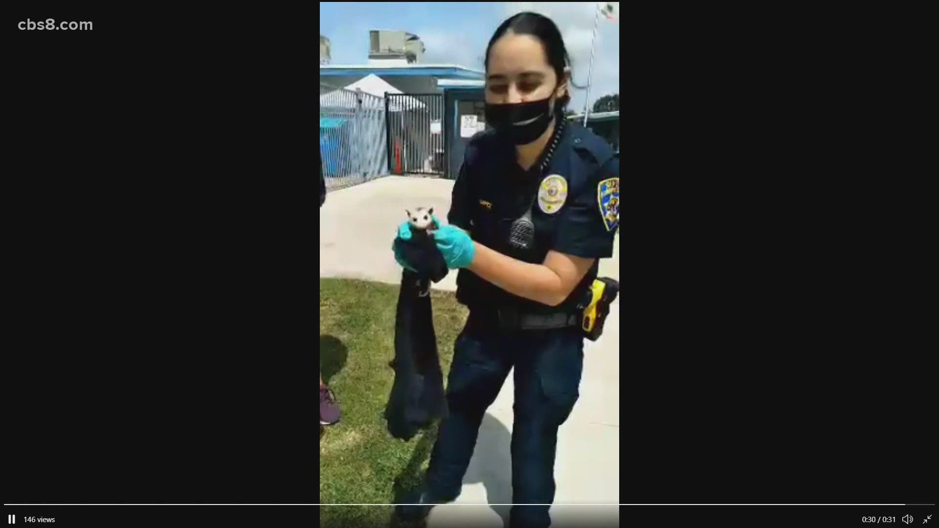 The San Diego Humane Society officers took over the organization's Twitter so you could ride-a-long with humane officers for Humane Officer Appreciation Week