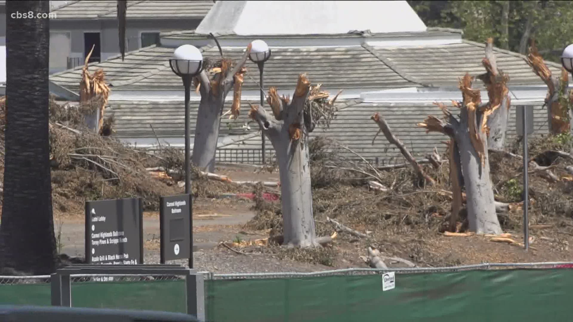 Neighbors expressed outrage after the decades-old trees were left as chopped up stumps or piles of debris in the neighborhood