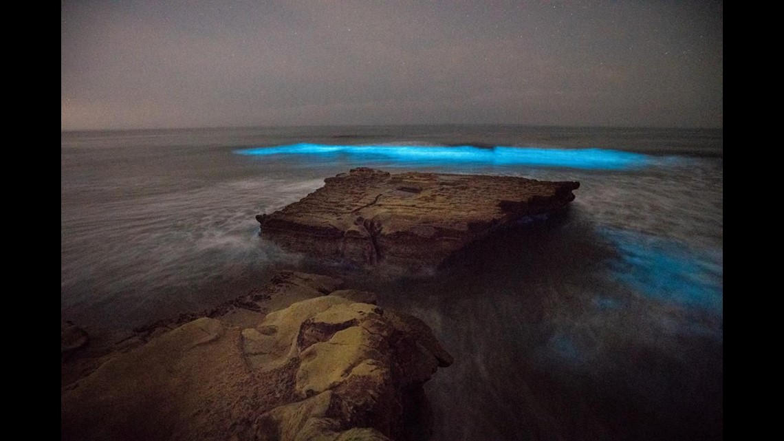 Bioluminescence Algae bloom lighting up San Diego waves at night