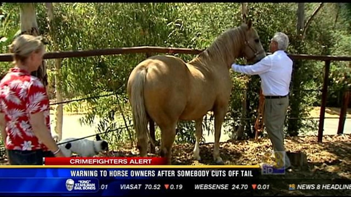 Horse owners warned after tail cut off local animal