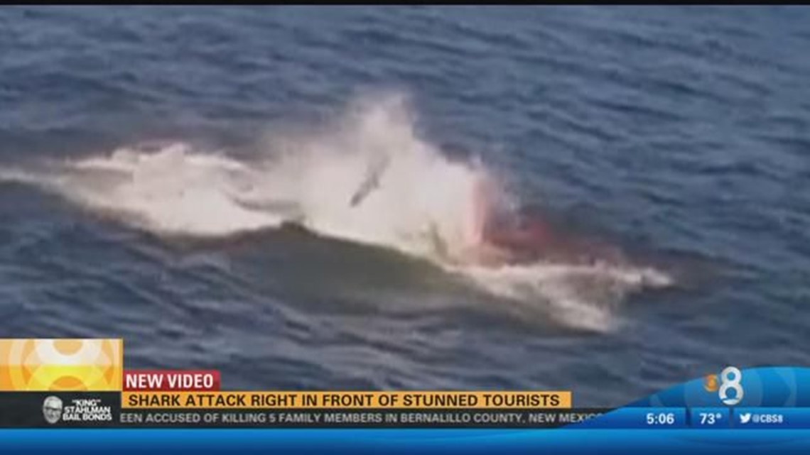 Shark attack right in front of stunned tourists