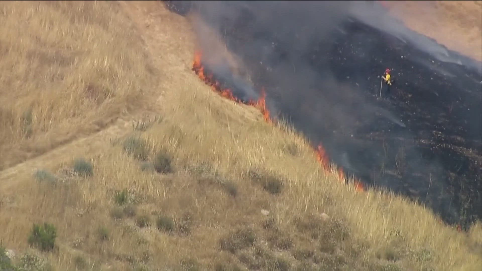 Firefighters stopped the spread of the Wildcat Fire at 20 acres. An evacuation warning for homes in the San Diego Country Estates and nearby areas has been lifted.