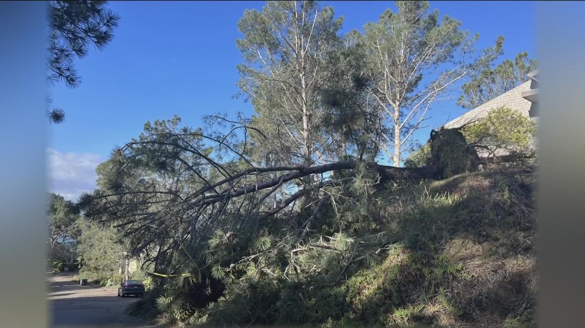 Del Mar non-profit to host clean-up day for recent storms - Vimarsana News