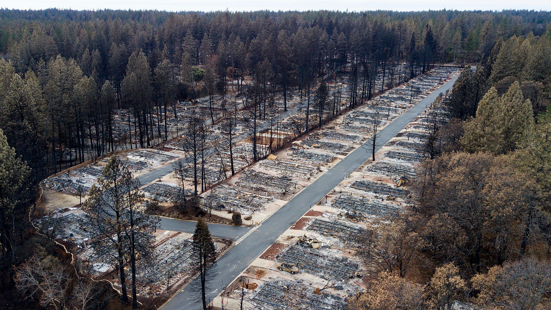 Officials: PG&E equipment sparked deadly Camp Fire | cbs8.com