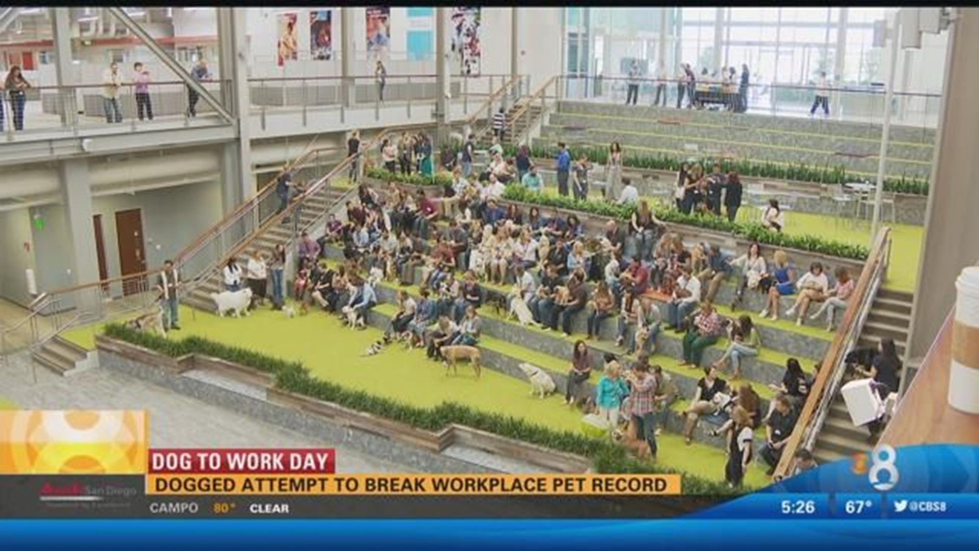 Dog to Work Day PETCO sets world record
