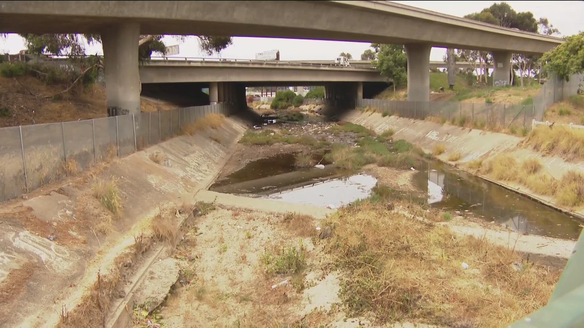 With vegetation filling back into stormwater channels in flood-prone neighborhoods, the city is trying to tackle the overgrowth before the next rainy season.