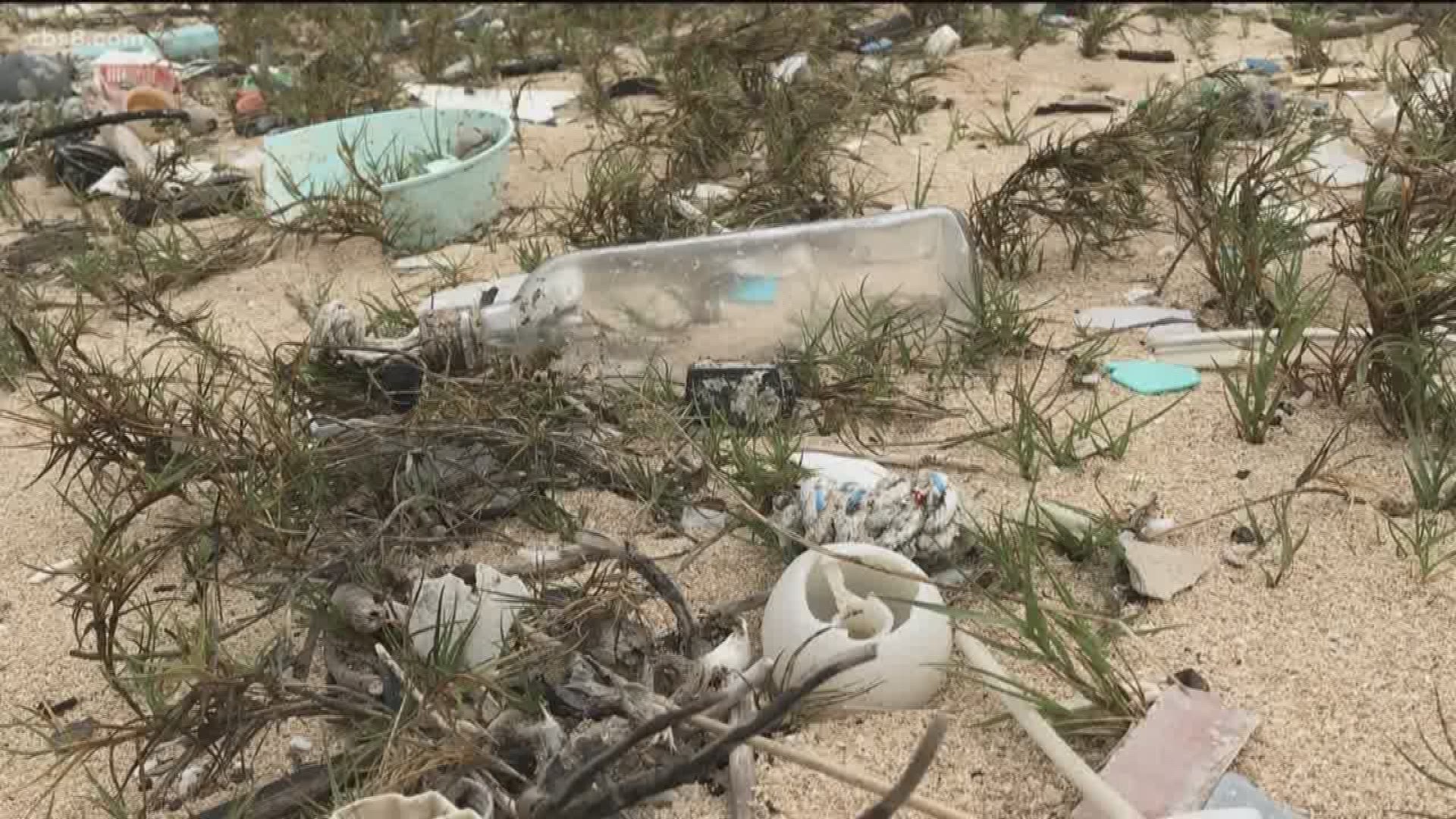 Plastic can last for centuries and it's being produced at an alarming rate. The images of trash washed up on once-gorgeous beaches are a heartbreaking sign of the times.