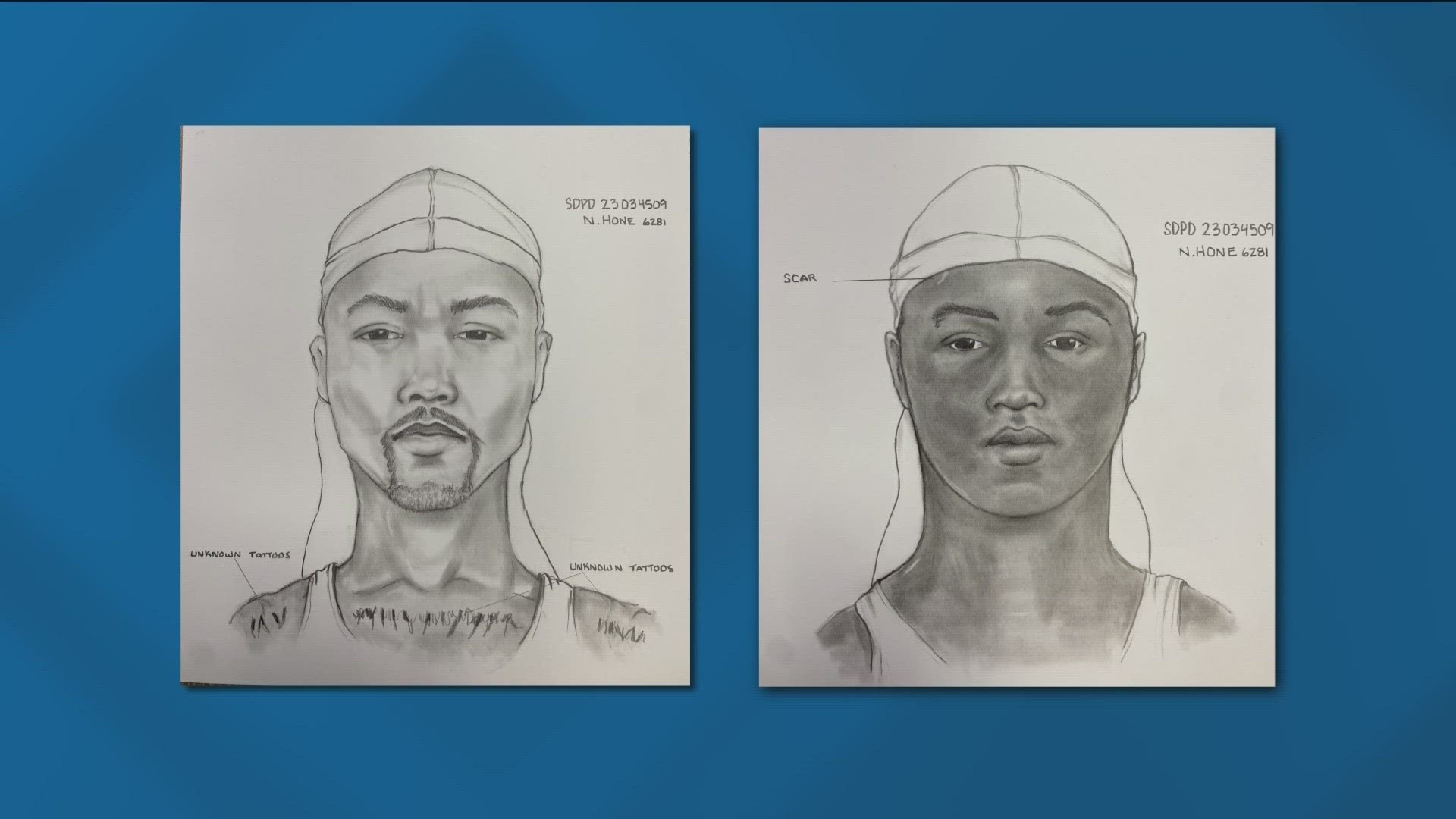 San Diego police are searching for two men who sexually assaulted a woman during an attempted robbery at Skyline Hills Park.