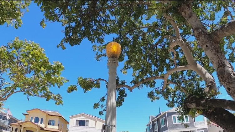 Pacific Beach residents say several streetlights have been on 24/7 for more than a year