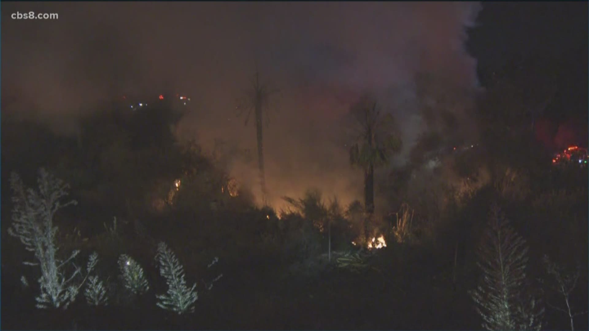 Fire crews made quick work of a brush fire Wednesday night in Chula Vista along Interstate 805 near Bonita Road.