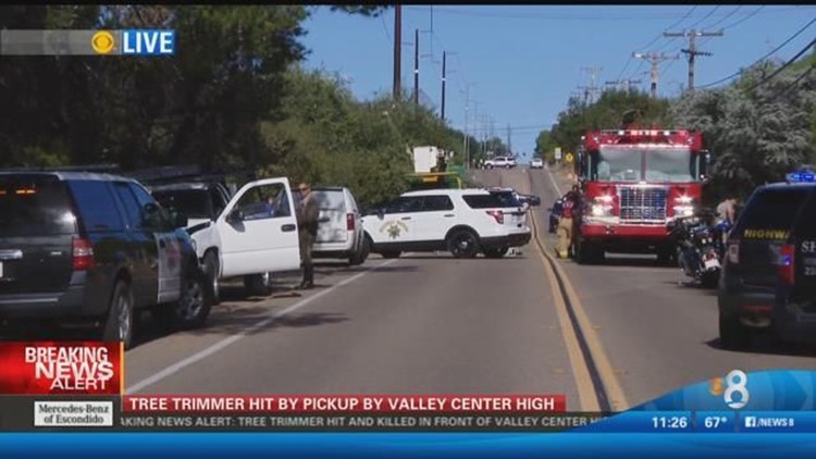 Identity of tree trimmer hit and killed by truck revealed | cbs8.com