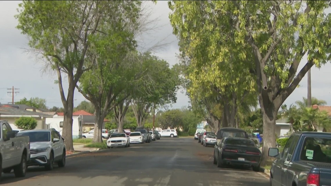 How many trees line San Diego's streets, sidewalks? - Vimarsana News