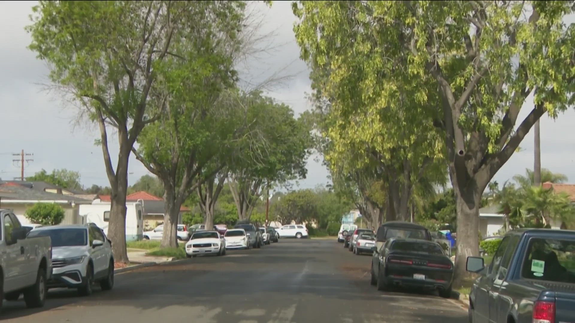 San Diego is assessing city trees to help grow urban forest in the future.