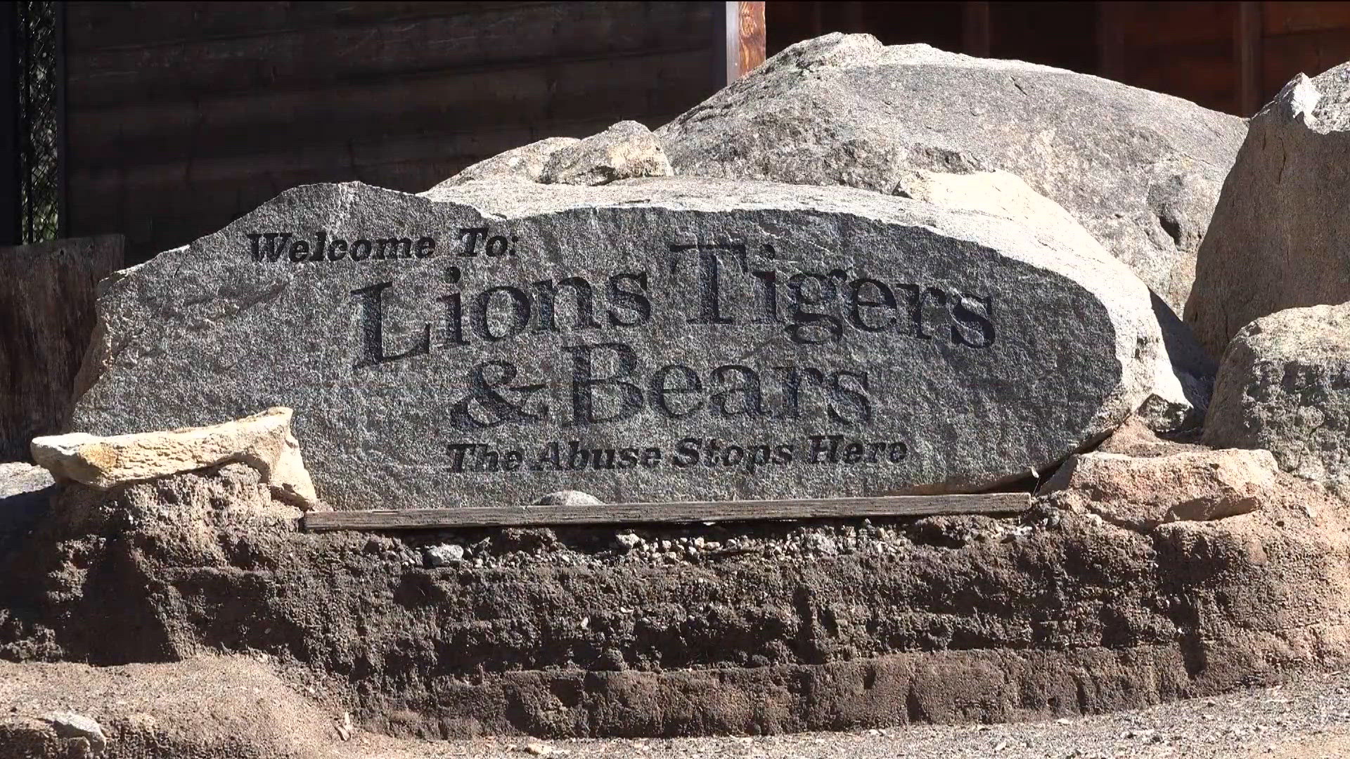 Lions Tigers & Bears Sanctuary in Alpine damaged by Tropical Storm ...