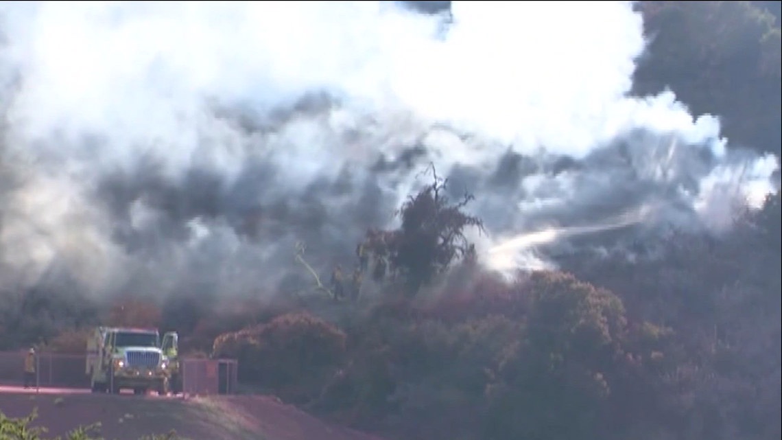 Fire crews halt forward rate of spread of vegetation fire in Vista ...