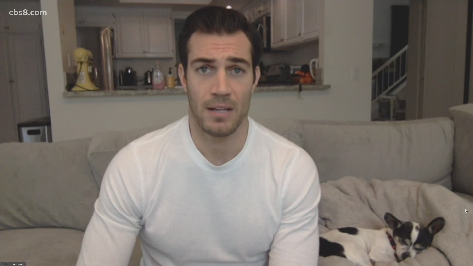 Dr. Evan Antin, America's 'sexiest veterinarian' joined Morning Extra Thursday to talk about his memoir 'World Wild Vet.'