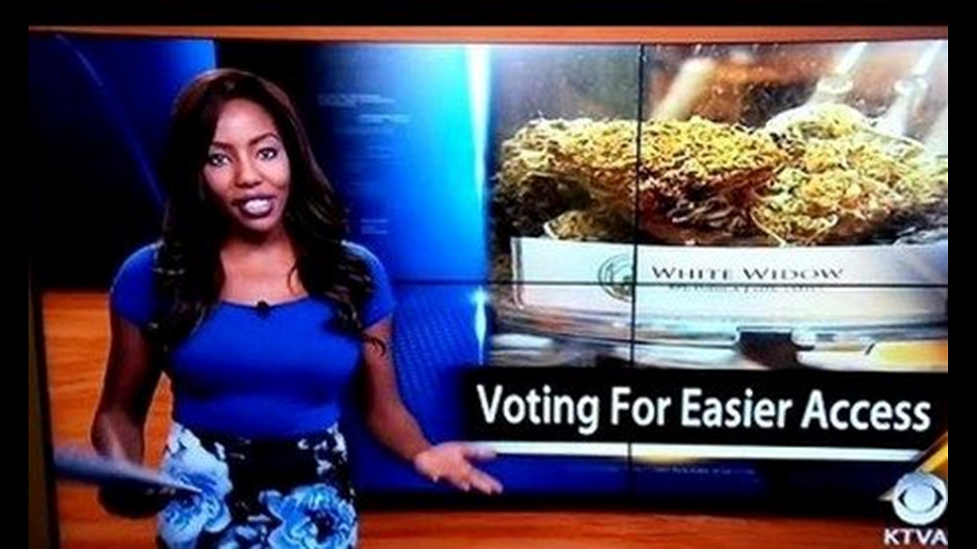 Alaska TV reporter quits on air to promote pot