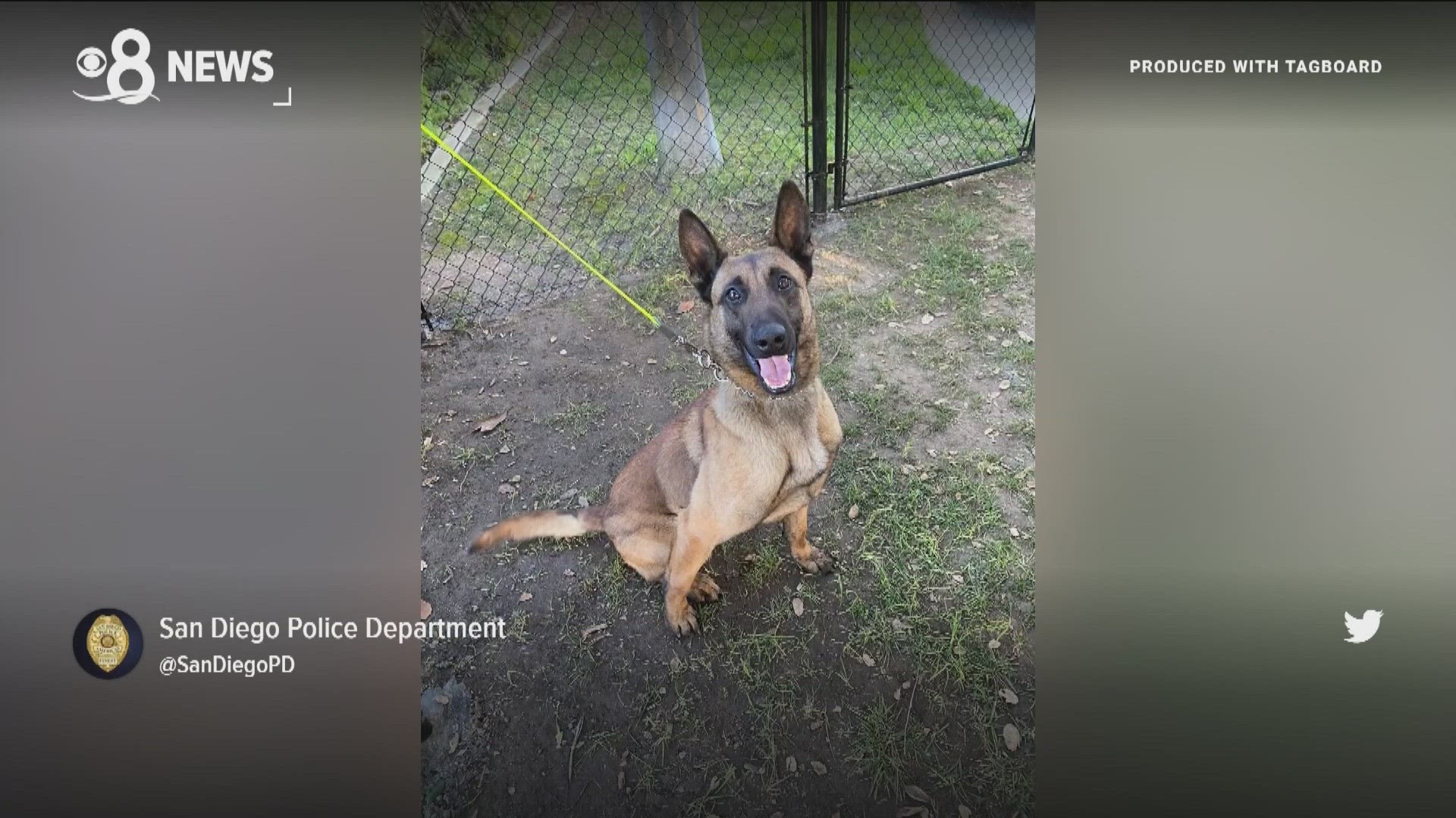 'Sir' was a 4-year-old Belgian Malinois who joined the force in March 2022.