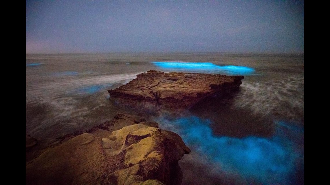 Bioluminescence Algae bloom lighting up San Diego waves at night