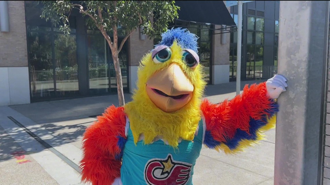 The former San Diego Chicken performs for fans at Shea Stadium