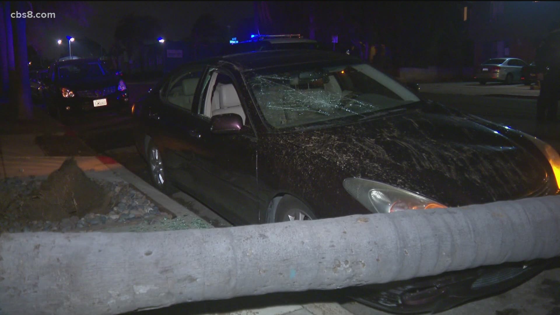 A palm tree fell on a car in North Park, a River flooded in the South Bay, and hail rocked the region.