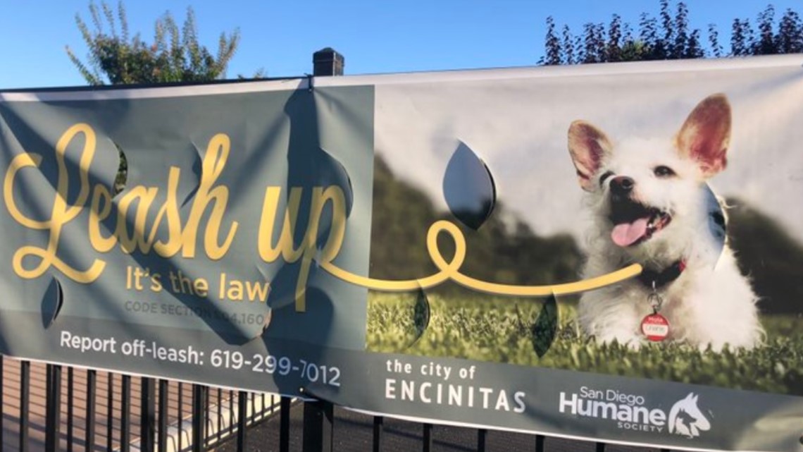 Concerns over leash rule violations in Encinitas