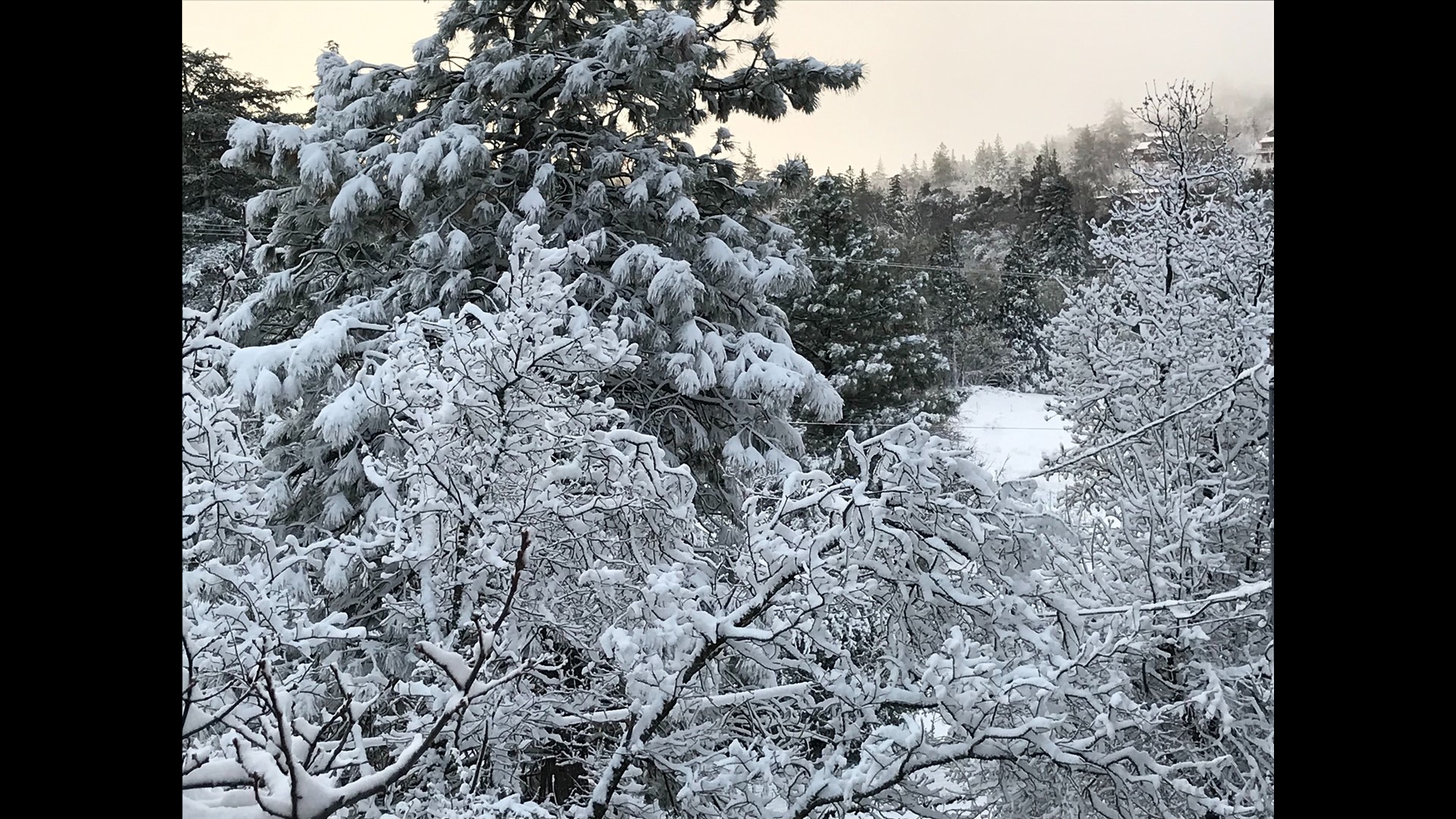 Virtually watch the snow in Julian, CA