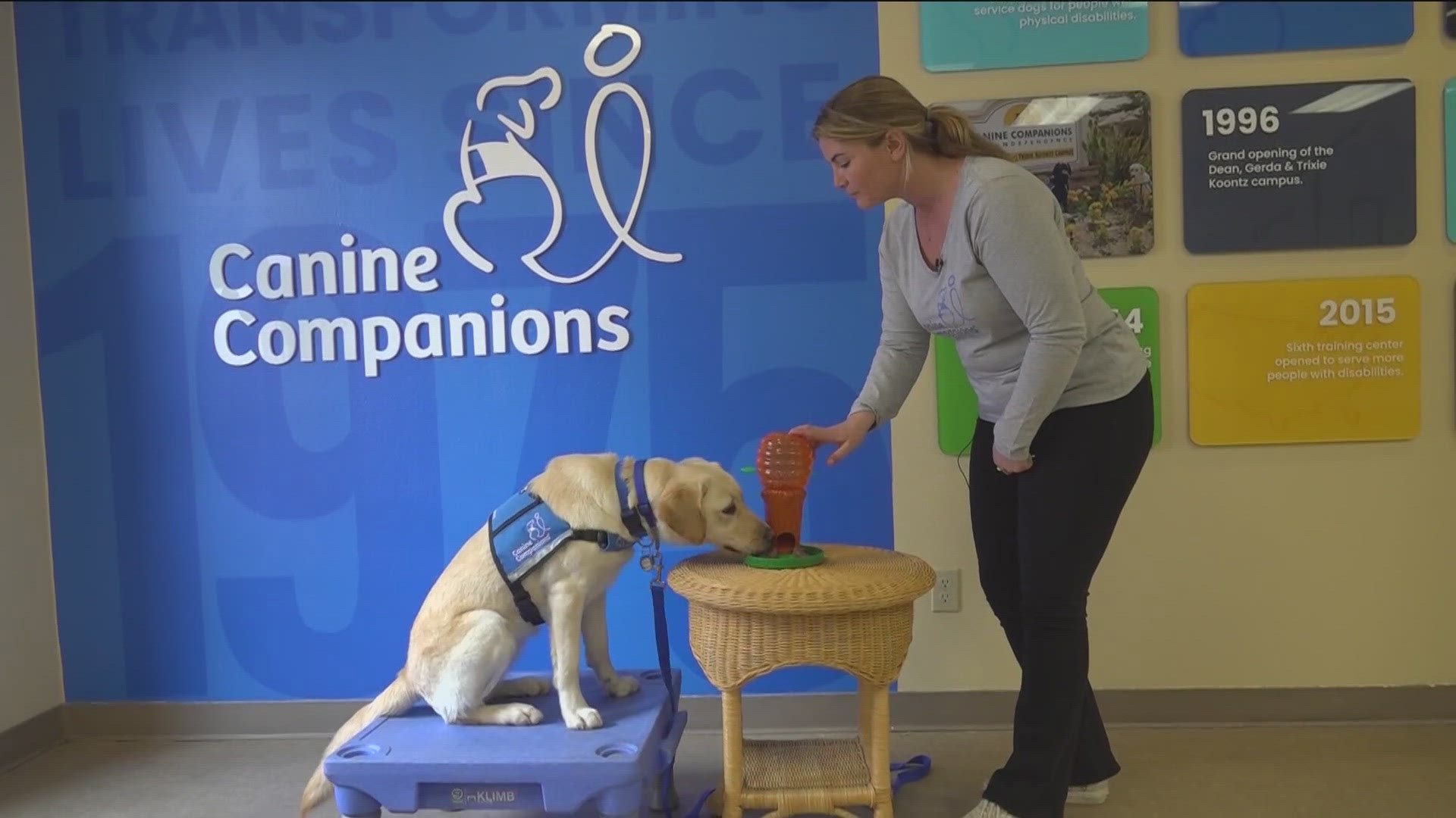 CBS 8 is Working FUR Kids to help Rady Children's Hospital raise money to have its own resident canine therapy program.