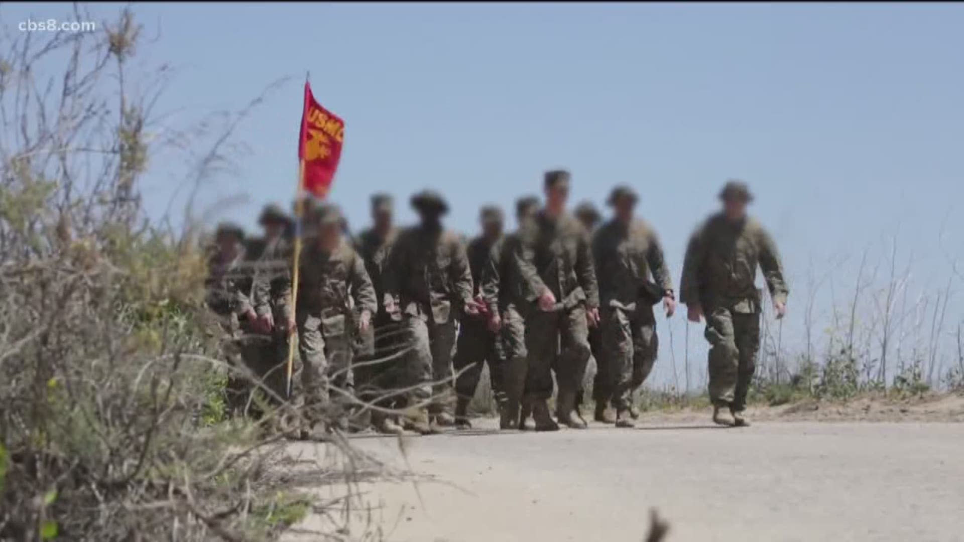 Sixteen US Marines were arrested Thursday at Camp Pendleton for alleged involvement in various illegal activities ranging from human smuggling to drug-related offenses, according to a Marine Corps statement.