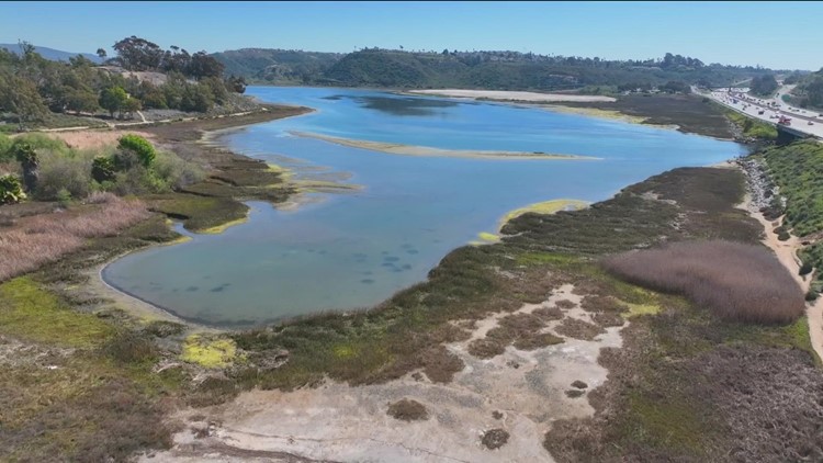 On World Wetlands Day, CBS 8 speaks to Project Coordinator for 'Project Clean Water'