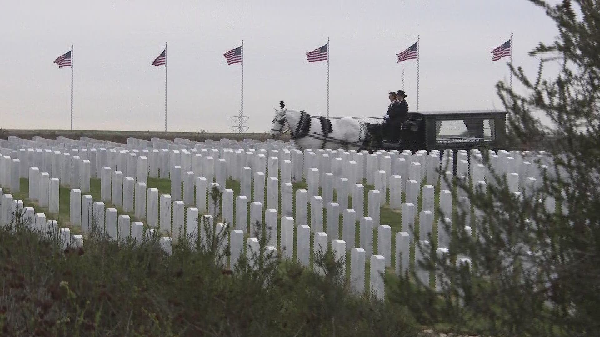 San Diego woman buries two heroes side by side, her father and brother with full military honors.