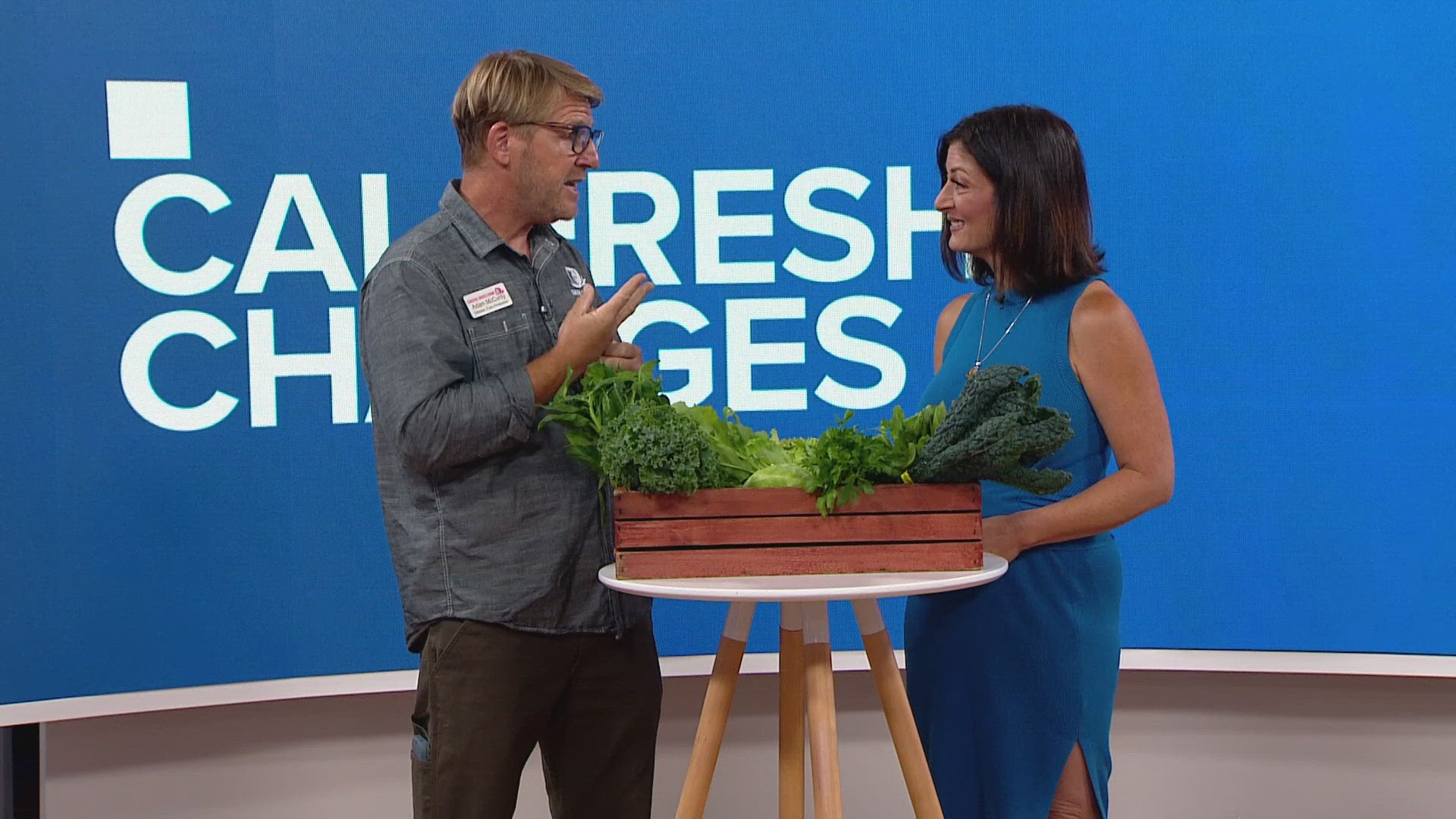 Major changes coming to CalFresh | How it will be impacted, what San ...