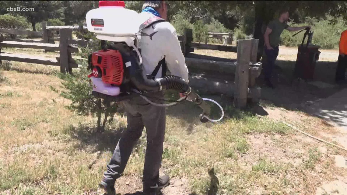 California Wolf Center in Julian fireproofs their property and structures - Vimarsana News