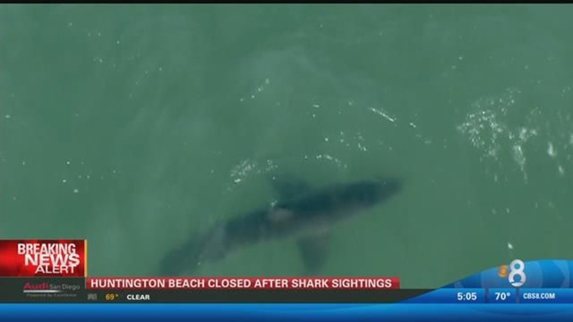 Shark sightings prompt closure of 2 Southern California beaches | cbs8.com