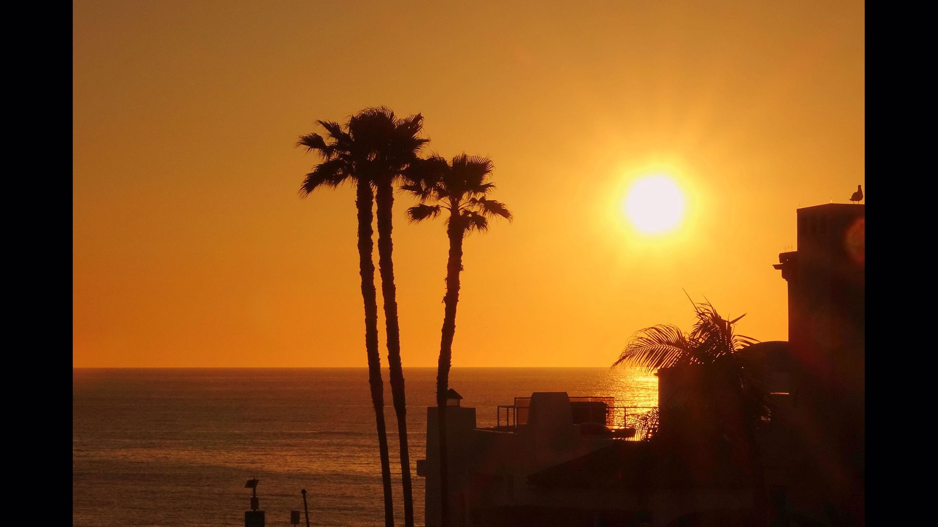 Share weather videos photos of San Diego | cbs8.com