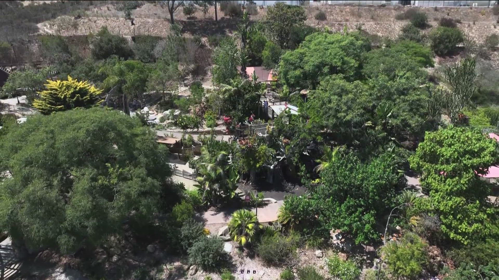 The San Diego Botanic Garden in Encinitas offers a 37-acre natural escape with North America's largest bamboo collection and infamous corpse flowers.
