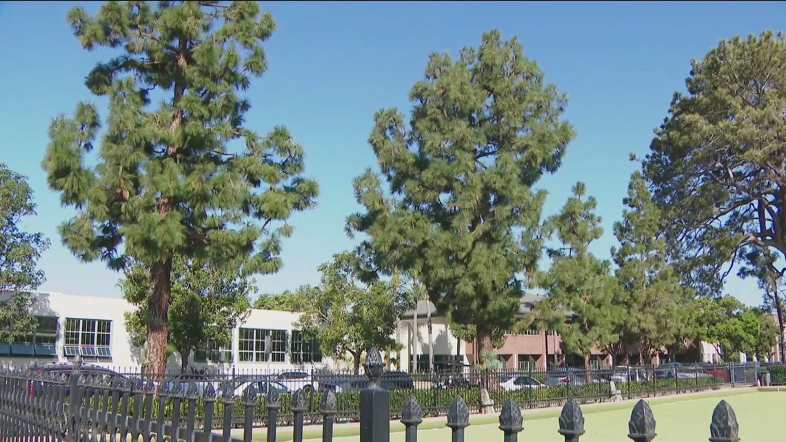 Lawn bowlers in Coronado want pine trees removed - Vimarsana News