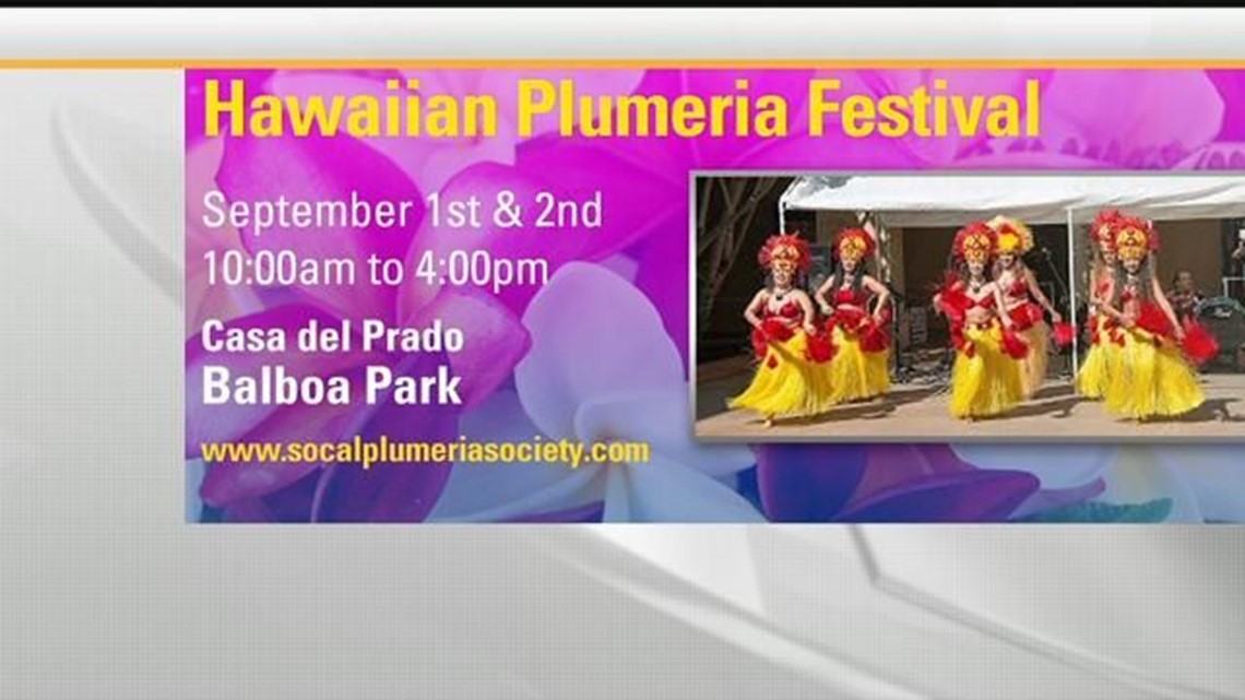 19th Annual Hawaiian Plumeria Festival at Balboa Park | cbs8.com